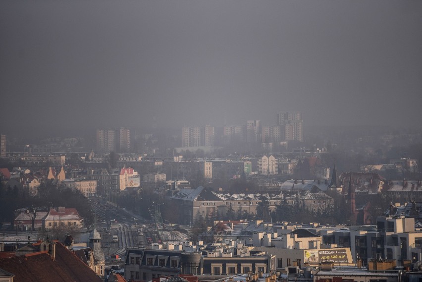 Chociaż jesień rozpieszcza nas przepiękną pogodą, mieszkańcy...