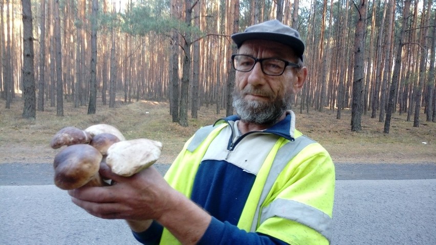 Leszek Jurczak ze Smolna Wielkiego uwielbia zbierać grzyby....