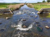 W Gryficach rusza pilotażowy program walki z suszą