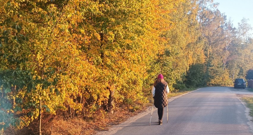 W regionie nie brakuje miejsc idealnych na jesienny spacer...