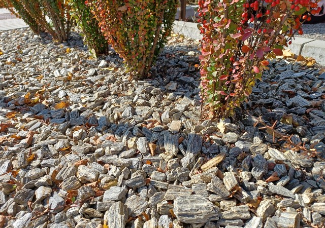 Kora kamienna formą przypomina korę, ale to kamień, najczęściej gnejs. Występuje on w różnych kolorach i wielkościach.