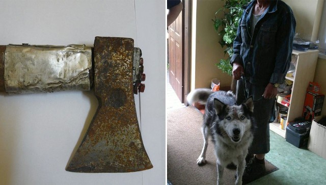 Z lewej: siekiera, którą próbowano zabić psa. Po prawej: husky już znalazł nowy dom.