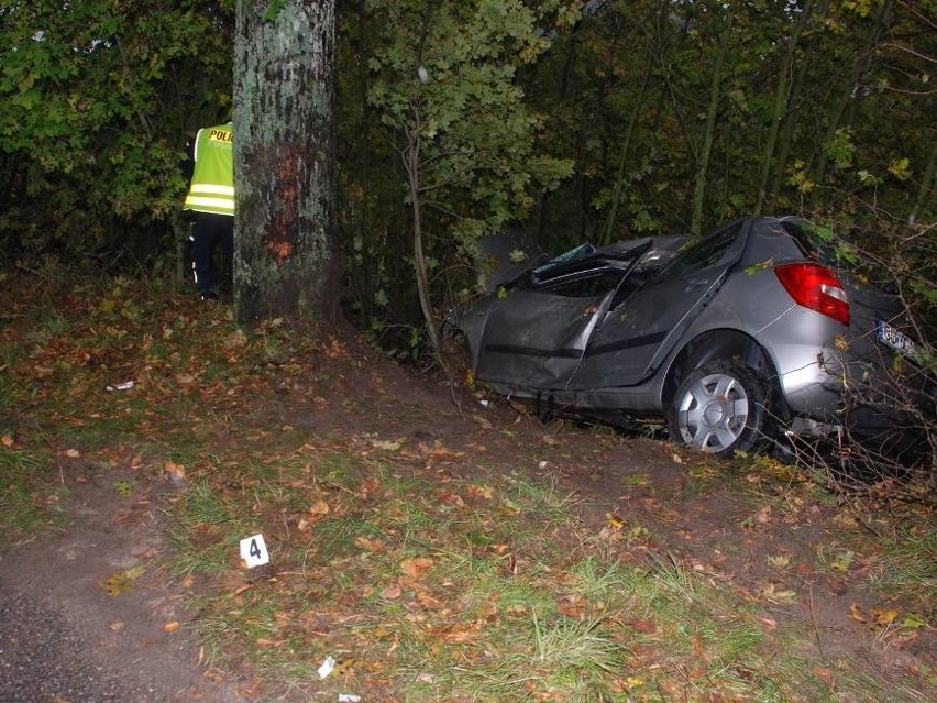 Wypadek k. miejscowości Nowa Karczma [ZDJĘCIA]