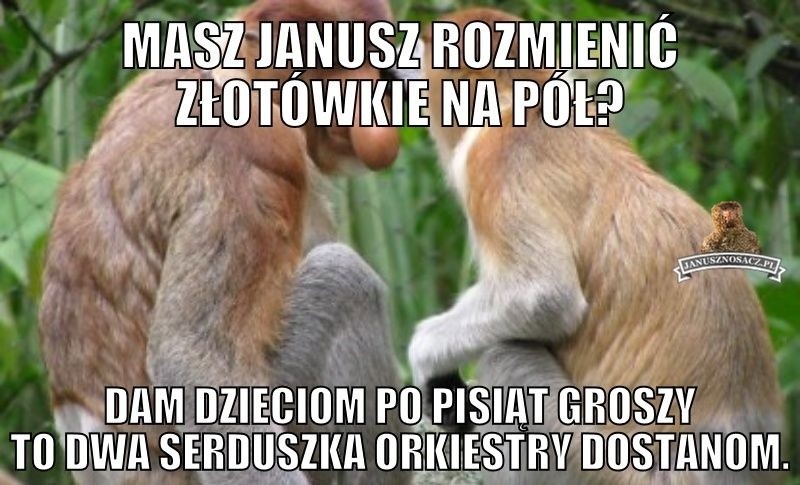 Janusz Nosacz, czyli internetowy memy z nosaczem sundyjskim