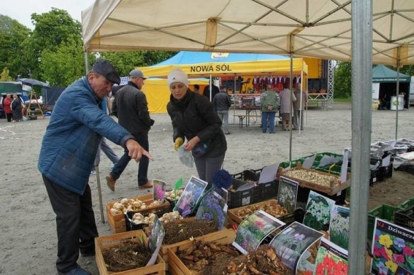 Archiwalne Zielone Ogrody nad Odrą w Nowej Soli.