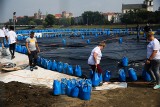 Kraków. Pompowali balon, który polata nad Wisłą [ZDJĘCIA, WIDEO] 