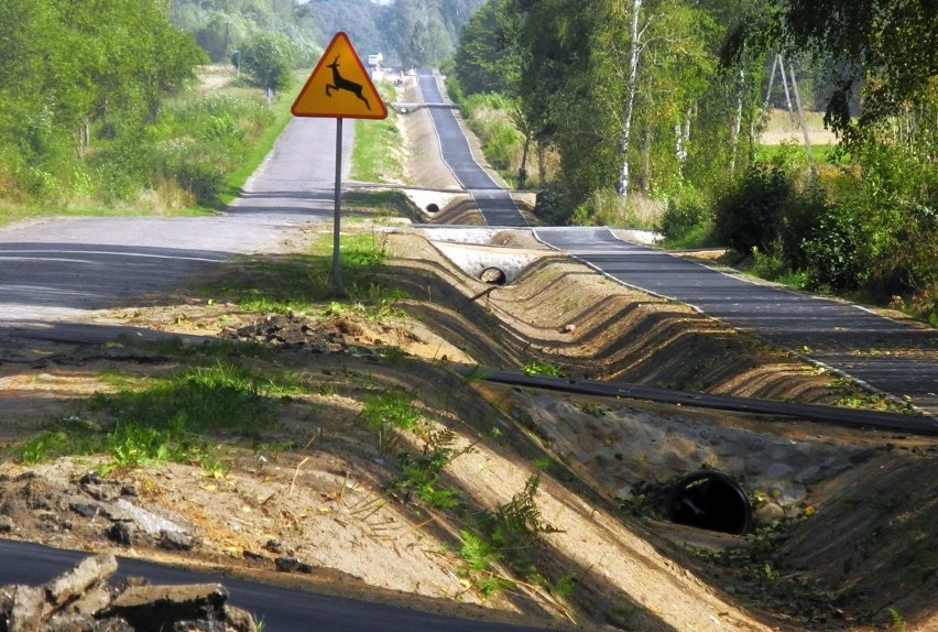 Trasy rowerowe w Polsce Wschodniej. Nowa ścieżka w stronę Narwi (zdjęcia, wideo)