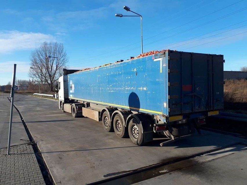Przepełniona ciężarówka z jabłkami na drodze pod Białobrzegami. Po kontroli ITD kierowca dalej nie pojechał