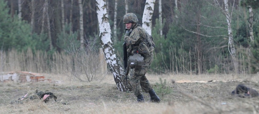 Szkolenia wojskowe 2015 w Polsce obejmą każdego zdolnego do...