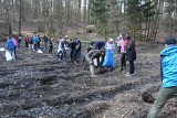 Uczniowie ze Szczecina posadzili 1500 drzew [ZDJĘCIA]
