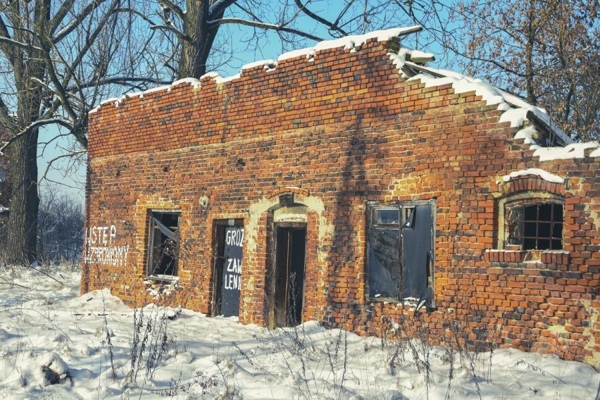 Strefa Opuszczona (8). Zrujnowana cegielnia "Janinów" w Mstyczowie (WIDEO, zdjęcia)