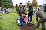 W Czersku maluszki posadzą swoje drzewa! Pomogą im rodzice