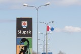 75-lecie Gryfa Słupsk. Zawieszono flagi na rondach i "Złotej Kamienicy" [ZDJĘCIA, WIDEO]