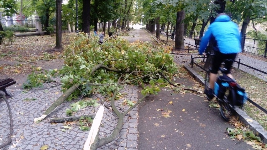 Przeszedł orkan Ksawery. 18 osób rannych, 43 tys. ludzi bez prądu [ZDJĘCIA]