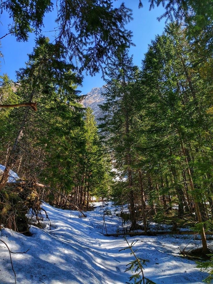 Tatry. Zobacz jak wygląda Dolina Strążyska po kwarantannie. To tam możemy legalnie wejść 