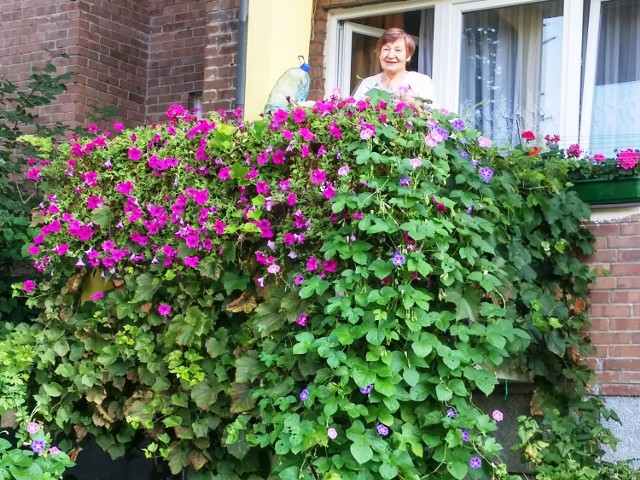  Piękny balkon w bloku przy ul. Najświętszej Marii Panny