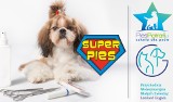 Zagłosuj na  salon psiej urody w plebiscycie Superpies!