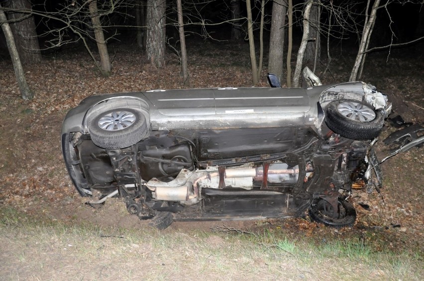 Wypadek na DK 58. Mazda dachowała w rowie. Wszystko przez jelenia (zdjęcia)
