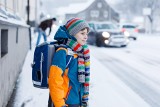 Śnieżyce, awarie, oszczędności pradu. Czy uczniowie w Łódzkiem zimą mogą uczyć się zdalnie?