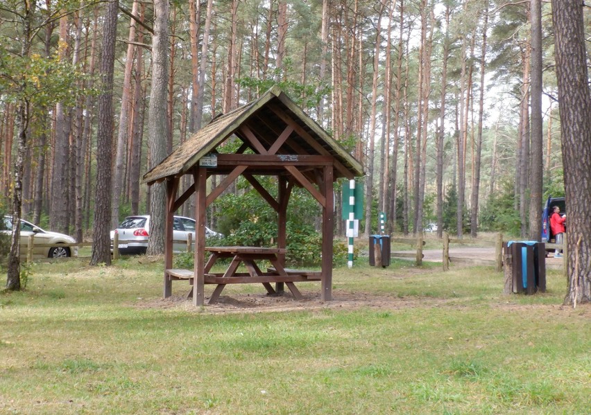 Rowerem przez szosę i puszczę. Tam szlaki mienią się kolorami