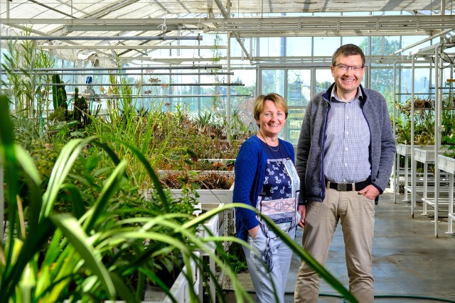 Prof. Justyna Wiśniewska i dr Dariusz Kamiński zapraszają do udziału w akcjach "Fascynujący świat roślin" i BioBlitz