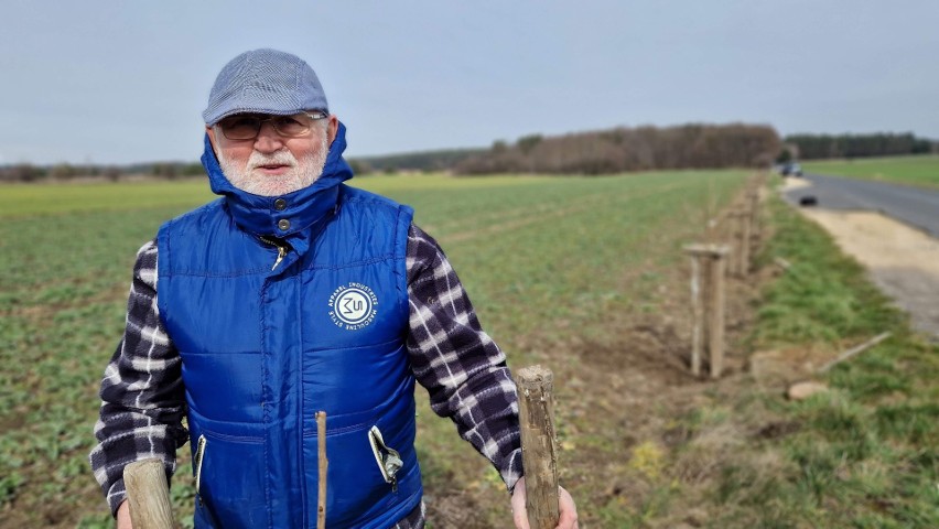 Sadzenie czereśni na ulicy Czereśniowej w Strzelcach...