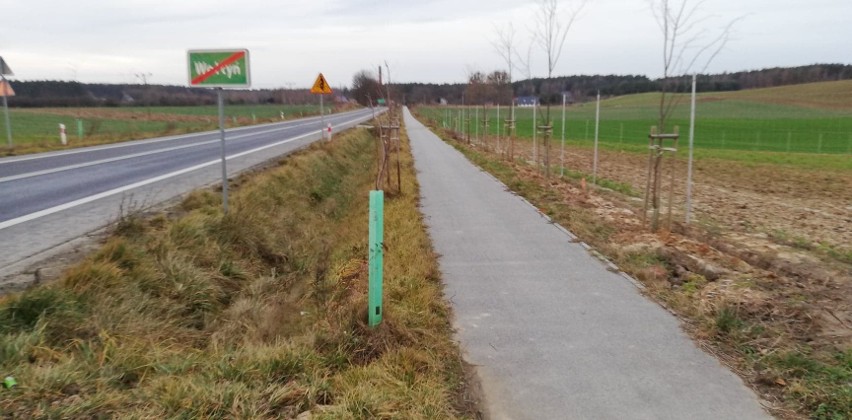 Trasa rowerowa w okolicach Gryfina i Puszczy Bukowej będzie dłuższa. Połączy trzy miejscowości