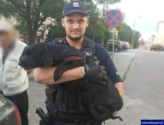 Policjanci w Olecka wybili szybę i osłabionego psa udało się uratować