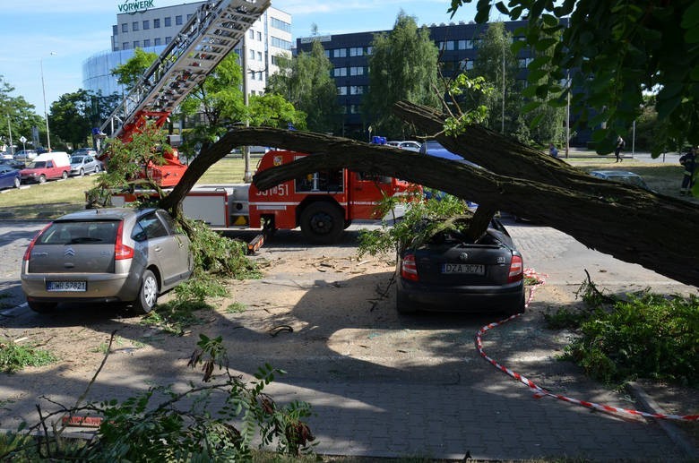 Drzewo runęło na prawidłowo zaparkowane samochody w...