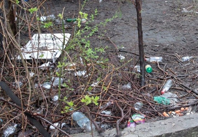 Obecnie posesja przy Mariackiej i Sedlaka przypomina dzikie wysypisko śmieci.