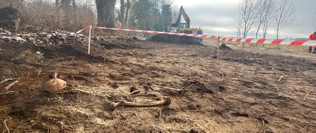 To kości ludzkie, mocno przemieszczone należące do dwóch osobników. Kości zalegały bardzo płytko, na głębokości około 30 cm od obecnego poziomu drogi - mówi Grzegorz Kurka, dyrektor Muzeum Historii Ziemi Kamieńskiej.