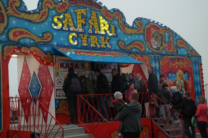 Nowy Sącz. Rozdajemy bilety na jubileuszowe widowisko Cyrku Safari. To będzie show z akrobacjami oraz żonglerką [ZDJĘCIA]