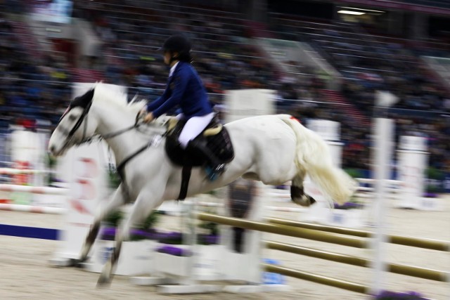 Spore emocje wywołały zmagania w Cavaliada Future