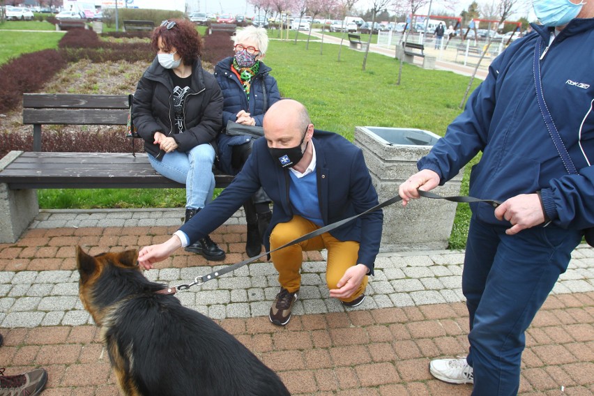 "Polityka Miasta wobec zwierząt" była tematem sobotniej...