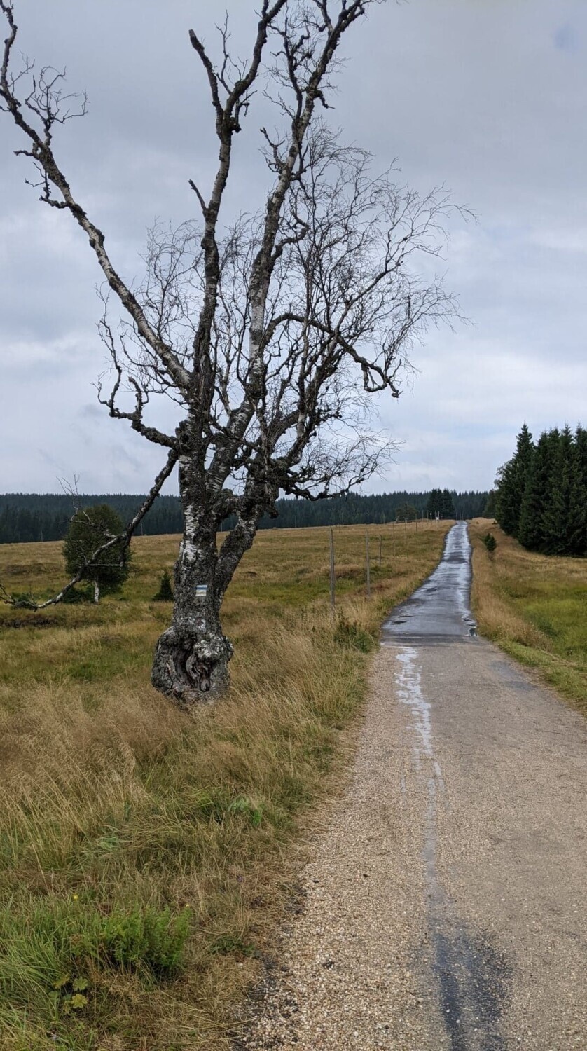 W Górach Izerskich na śnieg trafimy w maju, czasami nawet w...