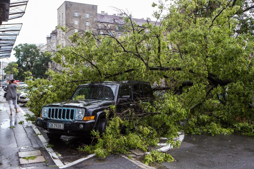 Warszawa: Burze i nawałnice [ZDJĘCIA] Duże zniszczenia, powalone drzewa, uszkodzone samochody