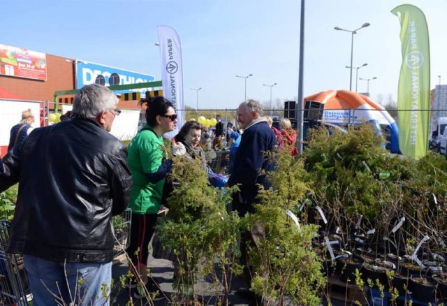 Akcja "Drzewko za makulaturę" w stadninie Iskra w Sztumskim Polu już 15 maja
