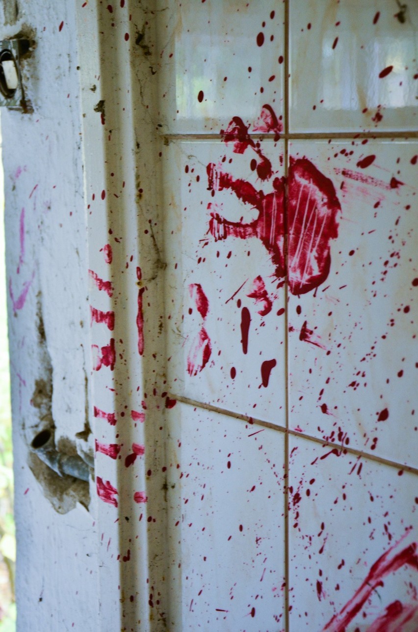 Krew na ścianach, symbole satanistów. Co wydarzyło się w opuszczonym kampingu na Kaszubach? Zajrzeliśmy do środka...