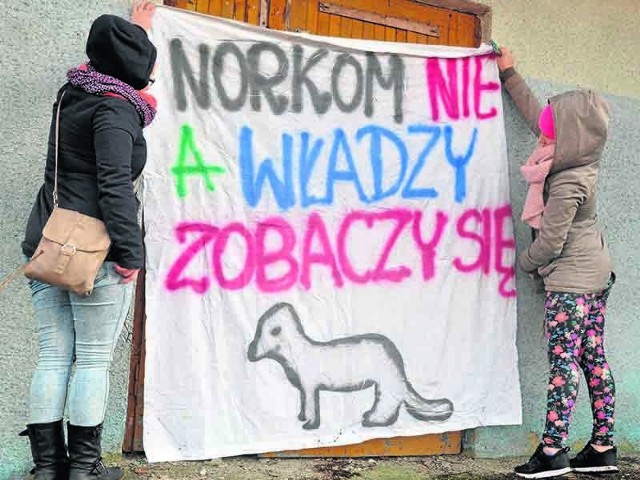 Mieszkańcy Mieszałek w zimie wywiesili w swojej wsi transparenty protestujące przeciwko budowie fermy norek