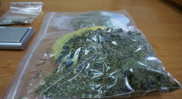 W mieszkaniu na białostockim osiedlu Dziesięciny policjanci znaleźli ponad 200 działek marihuany.