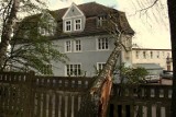 Koszalin: drzewo runęło na dom [zdjęcia]