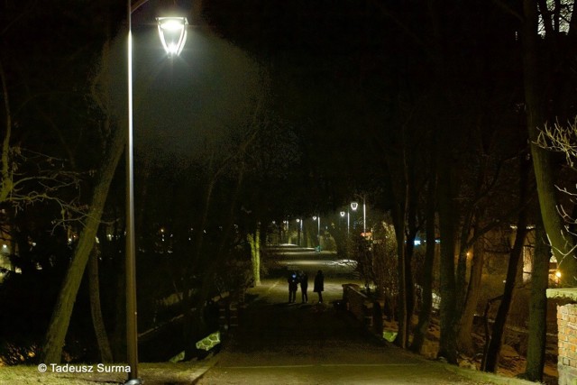 Aleja Słowicza w parku Chrobrego, podobnie jak główne parkowe aleje, jest dobrze oświetlona. To jednak nie oznacza, że wieczorami jest to miejsce całkowicie bezpieczne dla przechodniów