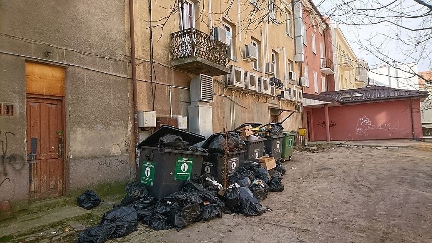 Tak wygląda zaplecze lokali gastronomicznych przy ul. Rynek...