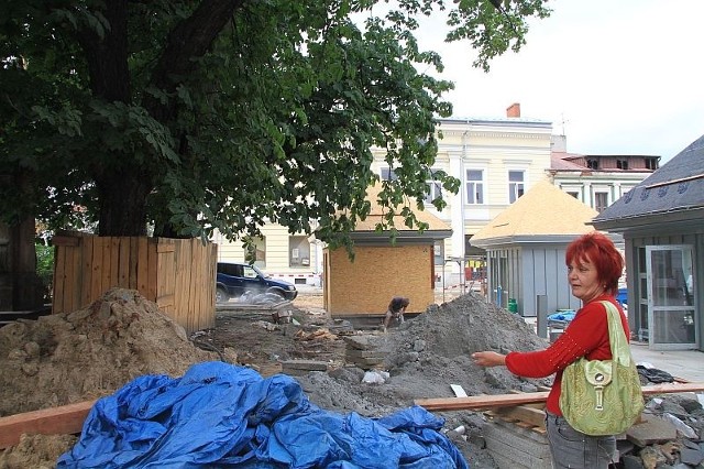 Kwiaciarka Lucyna Pomerańska obawia się wybudować swoją budkę pod starym kasztanowcem.