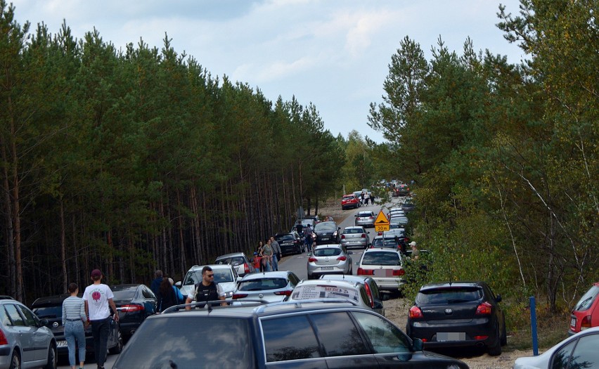 Tłumy turystów na Pustyni Błędowskiej