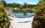 Ogród Japoński w Pisarzowicach koło Bielska-Białej zachwyca. Chcecie poczuć klimat Kraju Kwitnącej Wiśni? Zobaczcie zdjęcia