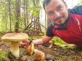 W świętokrzyskich lasach więcej grzybów! Jest pierwszy w tym roku wysyp prawdziwków. Na zdjęciach Wasze zbiory z weekendu 13-15 sierpnia