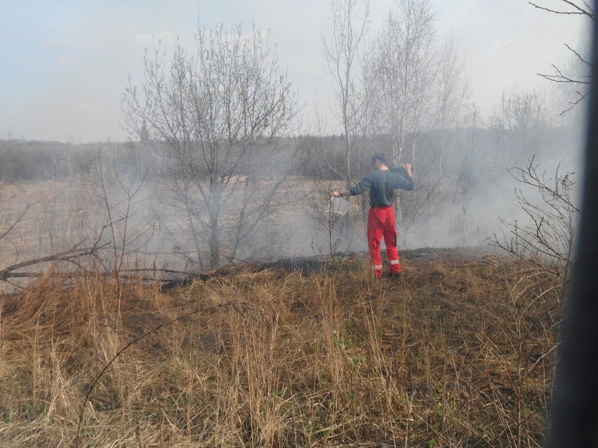 Pożar łąki w Milowicach