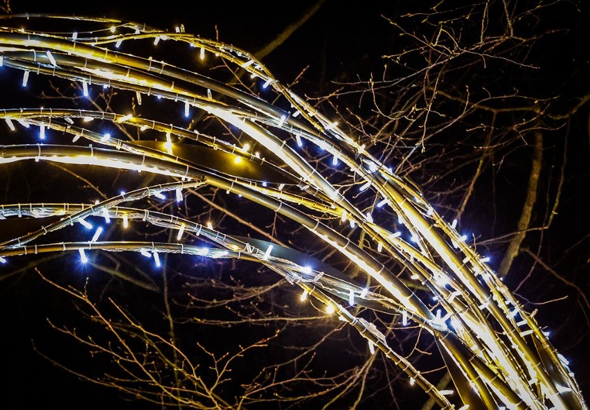 Świąteczne iluminacje w Parku Oliwskim zachwycają zwłaszcza wieczorami. To naprawdę warto zobaczyć!