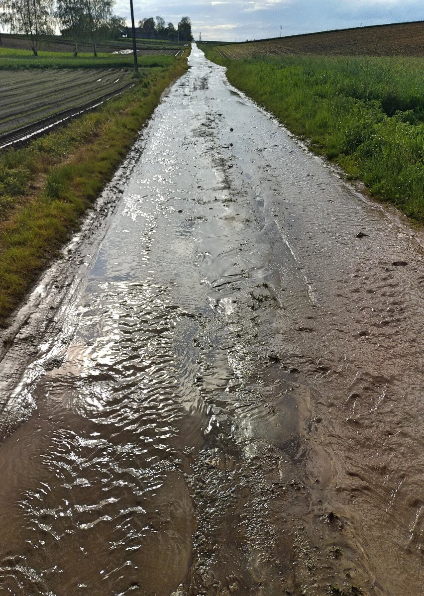 Grębocin. Mieszkańcy proszą o dobrą drogę do domów